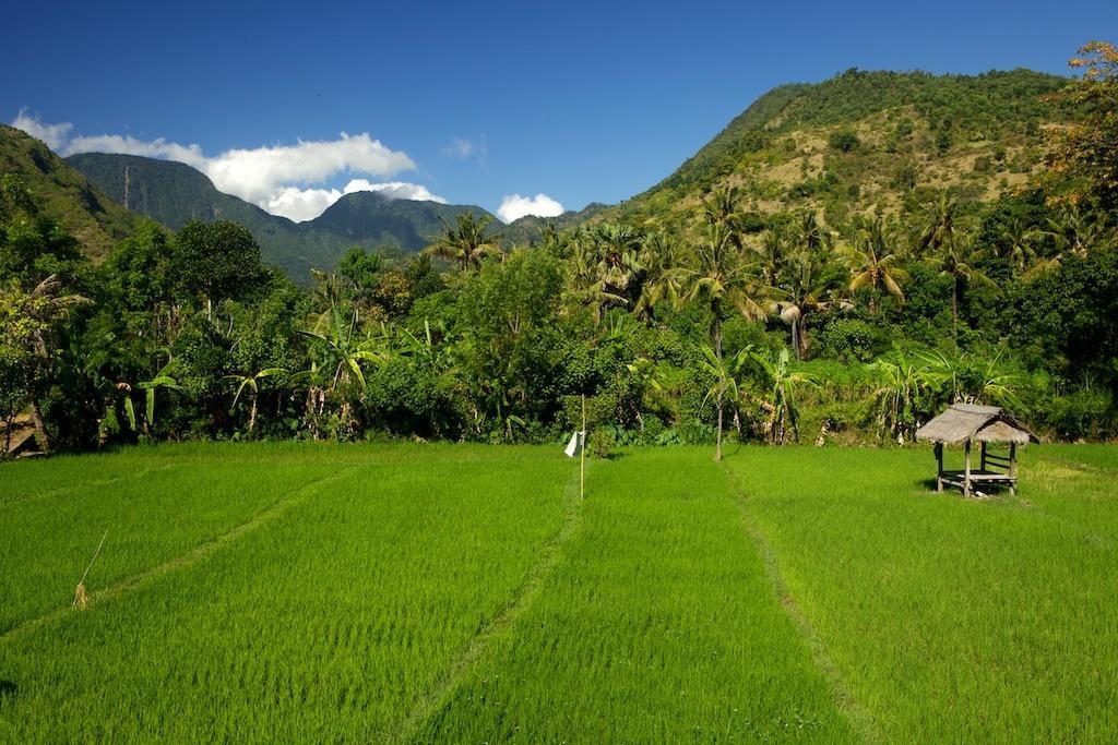 The Kampung Villa Amed  Luaran gambar